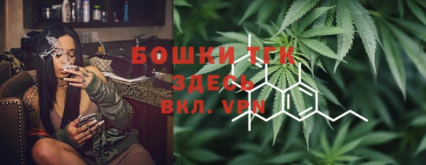 амф Аркадак