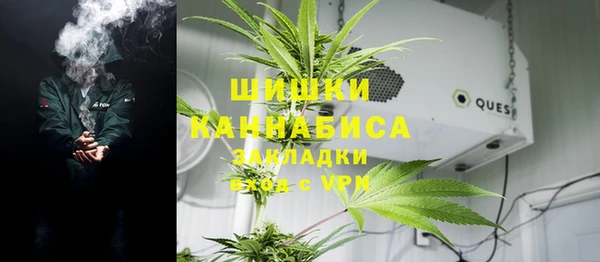 spice Арсеньев