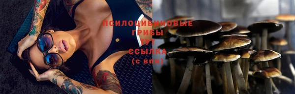 spice Арсеньев
