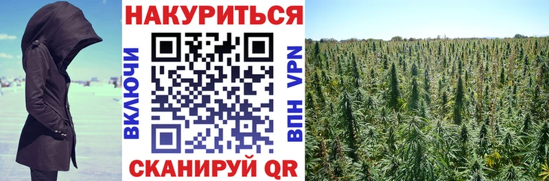 blacksprut зеркало  цена наркотик  Бирск  Шишки марихуана гибрид 